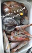 Top Sanremo