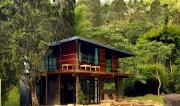 Casa na árvore cercada pela natureza e conforto
