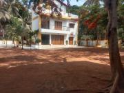 Top Calangute