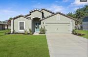 Top Palm Coast