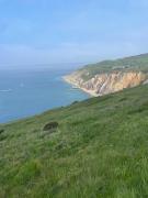 Homely Coastguard Cottage, Sea Views & Beach