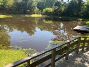 Big fish pond