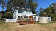 Top Burrawang