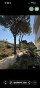Top La Grande Motte