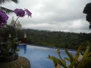 Top Besakih