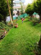 Top Ooty