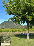 Top Saint-Pantaléon-les-Vignes