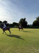 Top Sotogrande
