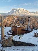 Top Longostagno