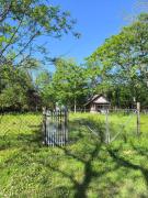 Lemon Tree Camp