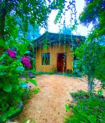 Serendib House - River View Jungle Stay Near Sinharaja Kudawa Gate