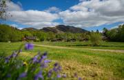 Top Balmaha
