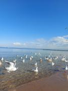 Top Kołobrzeg