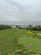 Top Leh