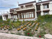 Top Leh