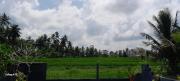 Top Ubud