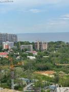 Top Odesa