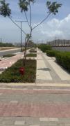 Top Cartagena de Indias