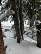 Top Žabljak