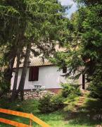 Black Lake House Dajovic