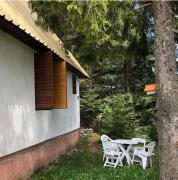 Black Lake House Dajovic