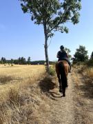 Top Craponne-sur-Arzon