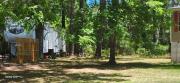Top St. Helena Island