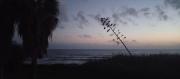 Top Sciacca
