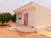 Jerba