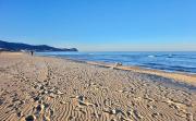 Top Cabo Negro
