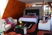 Top Puno
