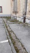 Street flat Mini