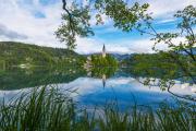 Top Bled