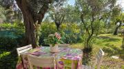 Top Ortona