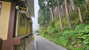 Top Darjeeling
