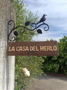 Top Rodello