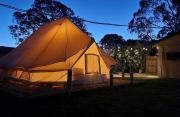 Top Penola Top Penola