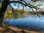 Top Bad Schmiedeberg