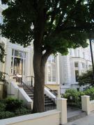 Belsize House (Belsize Park)