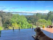 Top Bairnsdale Top Bairnsdale
