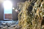 Top Campo Tures
