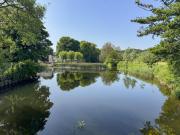 Top Dedham