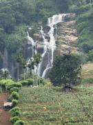 Cascade Vally