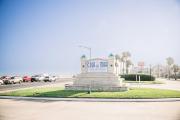 Top Galveston
