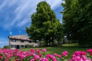 Top Custoza Top Custoza