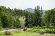 Top South Fork