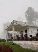 Top Kotagiri