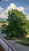 Top Pirot