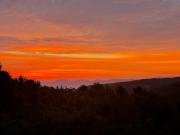 Top Beech Mountain