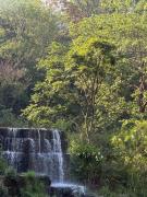 Top Dehradun